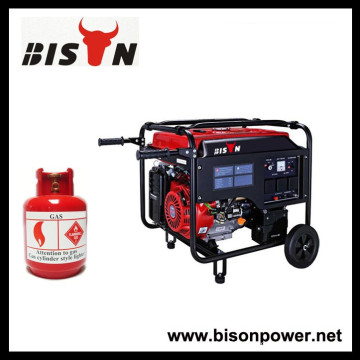 BISON(CHINA) Factory Gasoline LPG Two-In-One LPG Gas Generator Price